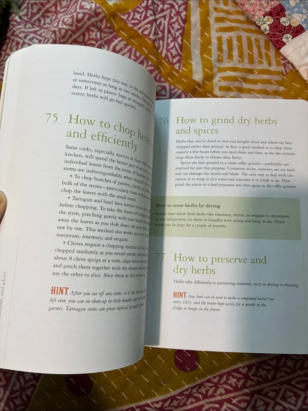 Artisan What’s a Cook To Do? - Cream & Red paperback Cookbook